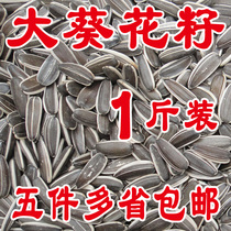 2021 high-quality parrot food raw big melon seeds medium and large parrot feed snacks bird food hamster food 500 grams