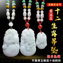 New spot jade pendant Myanmar jade duozodiac child parenting with a childs baby tiger rabbit dragon Snake Horse Dog Pig