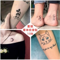 Herbal juice plant tattoo stickers cute cute cute small Qing New Style Cat bear collarbone sexy tattoo patch semi-permanent