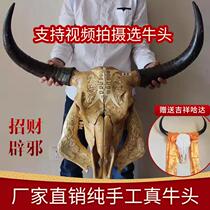Yak Skull Horn Decoration Specimen Decoration Wall Pendant Wall Hanging Wall Decoration Animal Real Head National Special Crafts