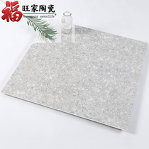 Simple light gray particles bright terrazzo tiles 800x800 living room dining room floor tiles non-slip wear-resistant floor tiles