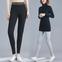 Autumn and winter fat MM Joker cotton high-waisted trousers waist thread leggings