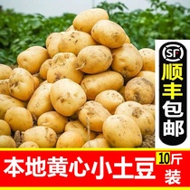 5 catty fresh potatoes farmhouse Self-planted Yellow Heart Grand-size potato Potato Fresh Vegetable potato Shunfeng