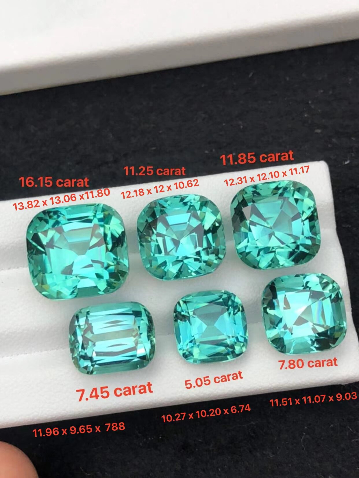 (Echo says jewels) Natural Afghanistan Lagoon Blue Bite ceiling level full net