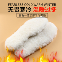 Wool insole leather wool cotton insole female winter warm plus velvet thickened snow boots insole male deodorant and sweat absorption