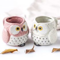 Japanese style coarse pottery style Owl water cup Couple pair cup Coffee cup Mug Cute birthday gift