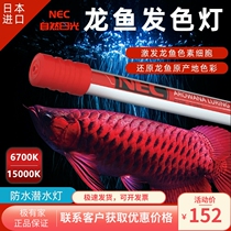 NEC Fish Tank Lantern Dragon Fish Diving Gold Red Dragon Special Waterproof Japanese Earth Imported T8 Three-based Bright Color lighting tube