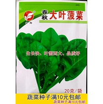 Spring and autumn big leaves spinach seeds big round leaves upright vegetables spring and autumn seeds green garden 20 grams bag