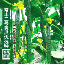 Changfeng No. 2 Cucumber Seeds Vegetable Seeds Garden Garden Balconies Potted Spring and Autumn Four Seasons Sowing Easy Sowing