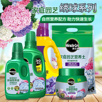 Melody Hydrangea special granules controlled release fertilizer liquid fertilizer nutrient soil eight immortals garden potted plant household