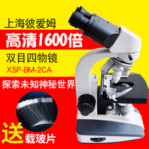 XSP-BM-2CA Biology Microscope Laboratory of Binocular 1600-fold 1000-fold Electric Light Source in Shanghai