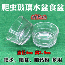 Reptile glass basin crawling pet lizard guard calcium powder basin Spider scorpion food bowl transparent small glass