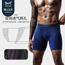 Ice Silk Screen Hole Mens Underwear Head Sports Running Lengthened Anti-Wear Leg Modell Flat Corner Pants 40% Pants