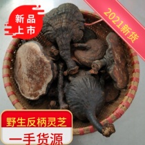 Wild Anti-handle Purple Sesame anti-shank black lingzhi horse hooded lucid lucid lucid lucid lucid lucid lucid lucid and natural whole branch wild lingzhi 500g