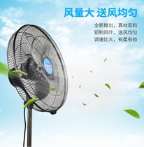 Devia commercial fan industrial fan ecstasy-floor fan high power industrial fan for home CF-45S