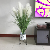 Flower dog tail fake flower home living room window decoration green plant ornaments film and television shooting props potted plants