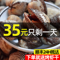 Zhoushan fresh big hair clam big hair clam wool pliers shellfish red shell blood clam silver pliers snow clam Ningbo seafood aquatic products fresh