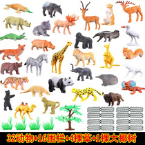 Amazon Children Emulation Animal World 53 Suit Fence Trees Land Stall
