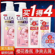 Qingyang cherry blossom Qinshuang shampoo dew maintenance anti-dandruff anti-itching oil control shampoo fragrance long-lasting fragrance ladies