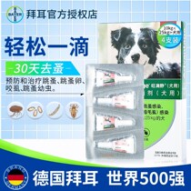  Bayer Wang Dijing external deworming drops Medium-sized dog German dog flea and lice pet medicine 4 sticks