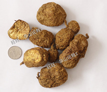 The ground bitter gall golden fruit Green Cow dull mountain Cangu sister green fish gallbladder nine cattle wide tendon Vine Shanzi dry goods 500g