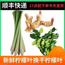 Fresh Thai Dongyin Gong Soup Ingredients Package (Citronella South Ginger Lemon Leaf) Thai meal spice combination