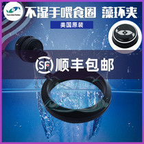 Two small fish feeding rings in the United States Seaweed clip not wet hands magnetic feeding ring feeder fish food floating ring