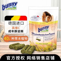 Bunny Bonny guinea pig grain adult juvenile geranium Dutch pig main grain TiMoses clover split up to try and eat