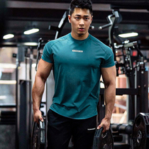 2022ins new fitness short sleeve mens basketball running 100 hitch a minimalist American workout training clothes sports t-shirt