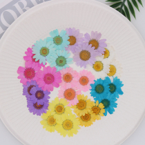 Orchid Xifangjing chrysanthemum dried flower embossed plant specimen DIY handmade epoxy mobile phone shell bookmark flower photo frame painting