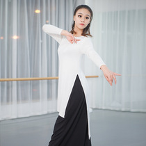 Modern dance practice with two sets of Yoga Square Dance Costume Adult Female Classical Dance Suit Suit