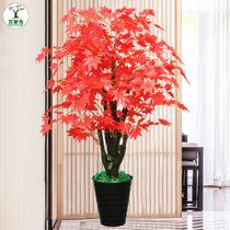 Simulation green planting potted plant fake tree red maple tree living room hotel fake flower decoration large floor simulation flower Hon to the head