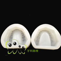 Dental standard dentition female mold Dental jaw toothless jaw female mold Silicone printed gypsum model upper and lower pairs