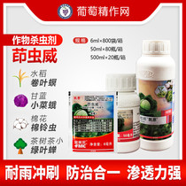  DuPont Kane Inden worm Wei hanging silk worm Beet armyworm Small vegetable moth Vegetable green worm Pesticide Insecticide