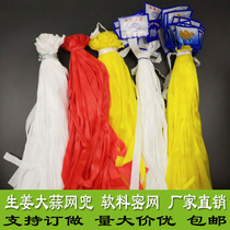 Garlic packing mesh bag Nylon small eye mesh pocket Ginger mesh white garlic head mesh bag with label Ginger garlic mesh pocket