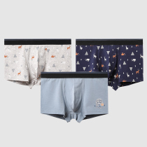 Fenteng 2021 new mens boxer briefs pure cotton student youth boxer briefs head trend pants shorts