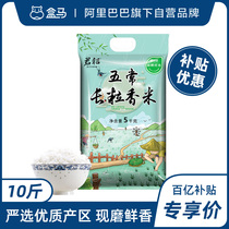 (Ten billion subsidies) spot found in Tao Township sweet five long grain fragrant rice 10kg Heilongjiang northeast rice new rice