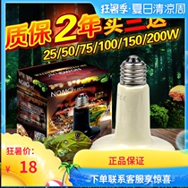 Reptile supplies Ceramic heating lamp Turtle lizard Spider Pet insulation lamp Ceramic heater