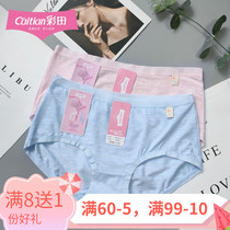 Color Field Briefs Female double color yarn Modale fabric Ultra Fine Wood Dale Pure Cotton Crotch Mid Waist Flat Corner Pants No Mark