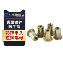 Color zinc flat head pull rivet nut flat head column stripe pull rivet nut nut knurled pull mother M3M4M5M6M8M10M12