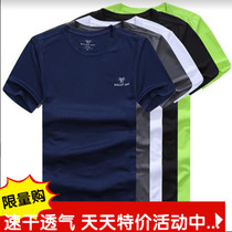 The new bullet Ant outdoor short-sleeved quick-drying T-shirt mens breathable perspiration half-sleeve quick-drying t-shirt