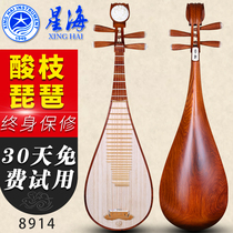 Beijing Xinghai pipa 8914 professional sour wood pipa national musical instrument sour branches polishing performance send accessories