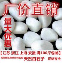  White small stone courtyard large pebbles Balcony flower pot decoration fleshy paving White stone rain stone paving stone