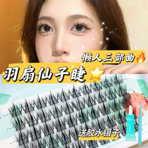 Down Fan Fairy Sloth Man Trilogy Fake Eyelash Woman Quick Graft Single Cluster Sectional Nature Emulation Eyelash