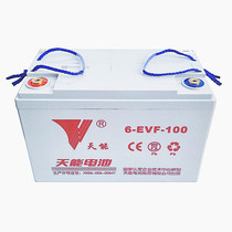Tianyeng Battery 6-EVF-100 12V100Ah Electric Vehicle Maintenance Free Battery 48V 60V 72V
