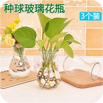 Glass Vase Transparent Hyacinth Flower Pot Living Room Indoor Fish Tank Round Hydronic Aquatic Plant Utensils