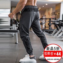 Iron Wolf sports pants mens autumn loose breathable sweat absorption elastic quick-drying muscle training running can be squat trousers