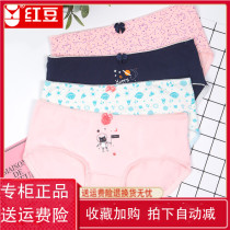 4 strips of red bean underpants female pure cotton crotch with low waist teenage girl Summer thin All cotton high school college student triangular shorts