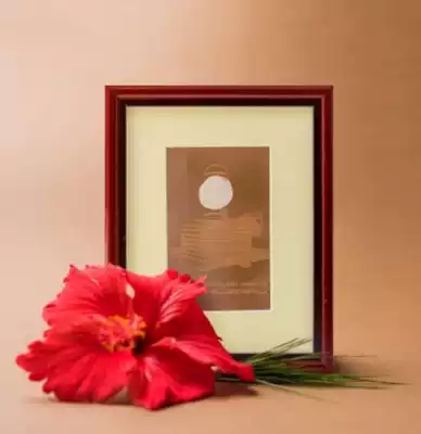 (Pre-sale) Isha sanctization Dhyanalinga lingyantra sanctiate your home not to return