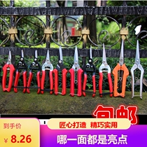 Orchard Flower Cut Picking Fruit Cut Grape Prunes Scissors Fruit Tree Cut Orange Peel Fruit Cut Citrus Branch Cut Bud Cut